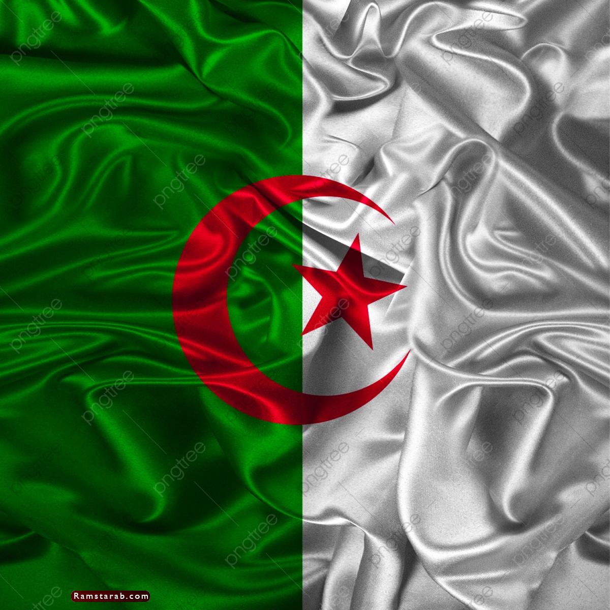 علم الجزائر 11  رمسة عرب